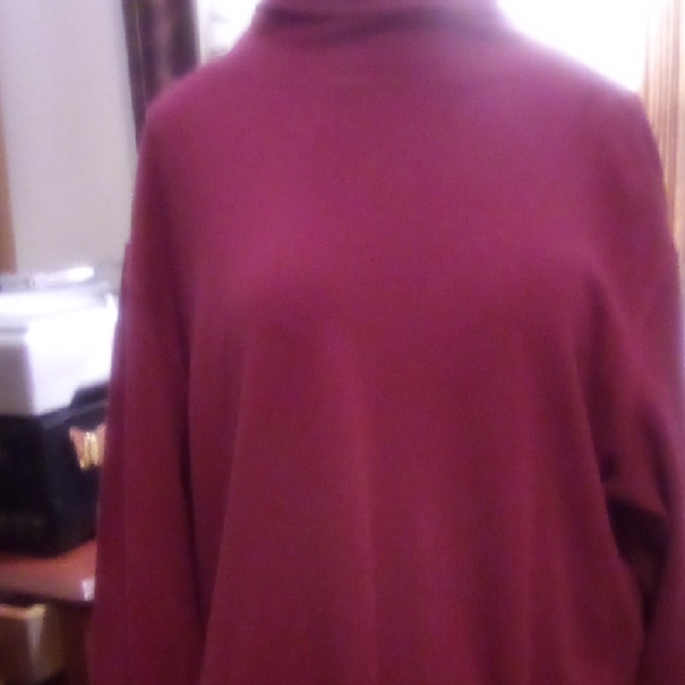 Scendier Woods Cotton Blend Turtleneck Sz L In Maroon.
